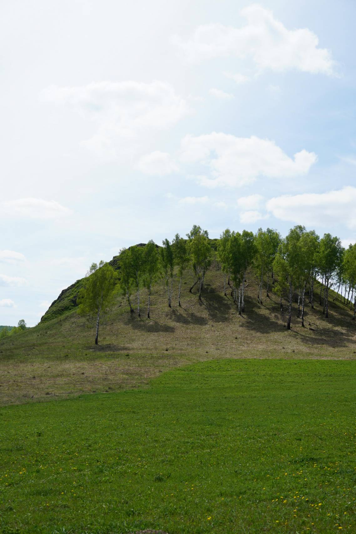 УК «Кузбассразрезуголь» поддержала открытие Регионального памятника природы